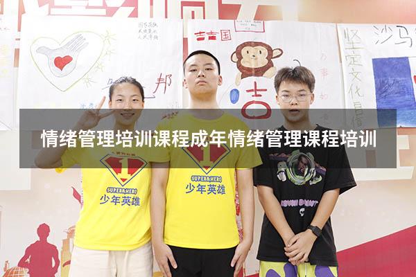情绪管理 培训课程（成年情绪管理课程培训）
